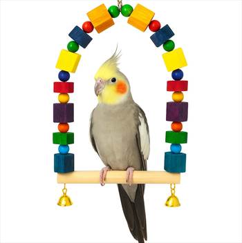تاب-چوبی-عروس-هلندی.jpg