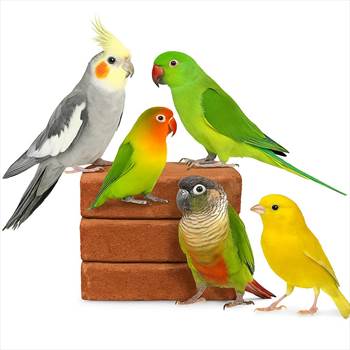 آجر مینرال ویتامینه پرنده.jpg