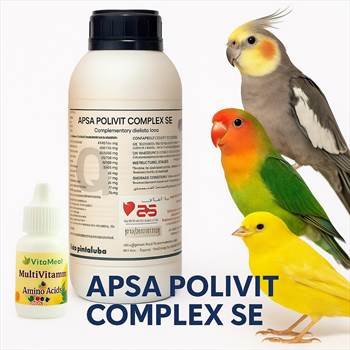 مولتی-ویتامین-آپسا-apsa.jpg