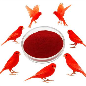 پودر-رنگدانه-سرخ-قناری.jpg