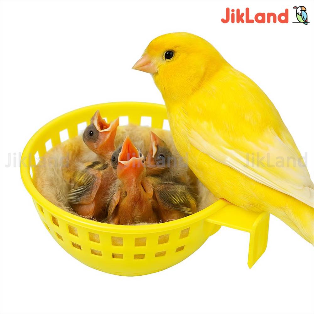 لانه پلاستیکی سبدی قناری