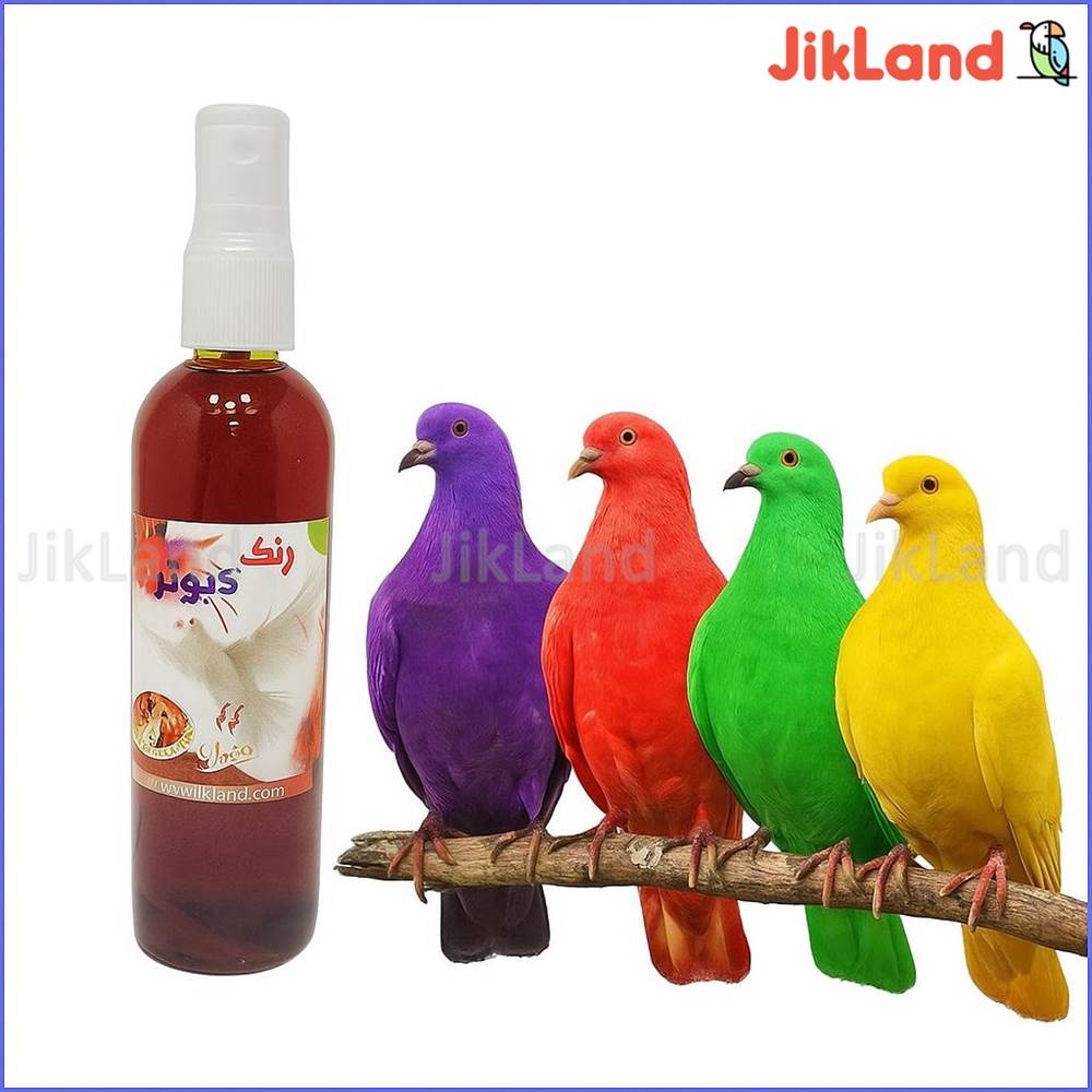 اسپری رنگ پر کبوتر