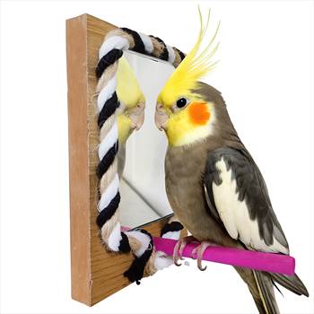 آینه پرندگان اسباب بازی.jpg