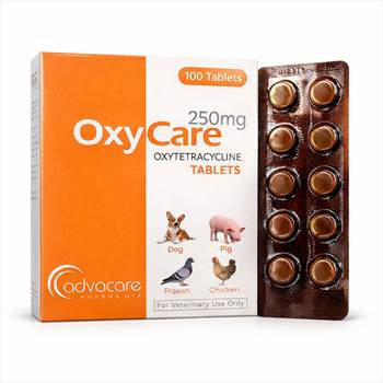 قرص oxy care اوکسی کر.jpg